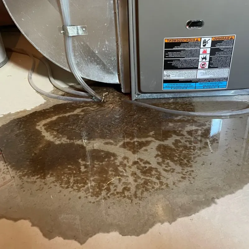 Pipe Burst and Leak Restoration in Keweenaw County, MI